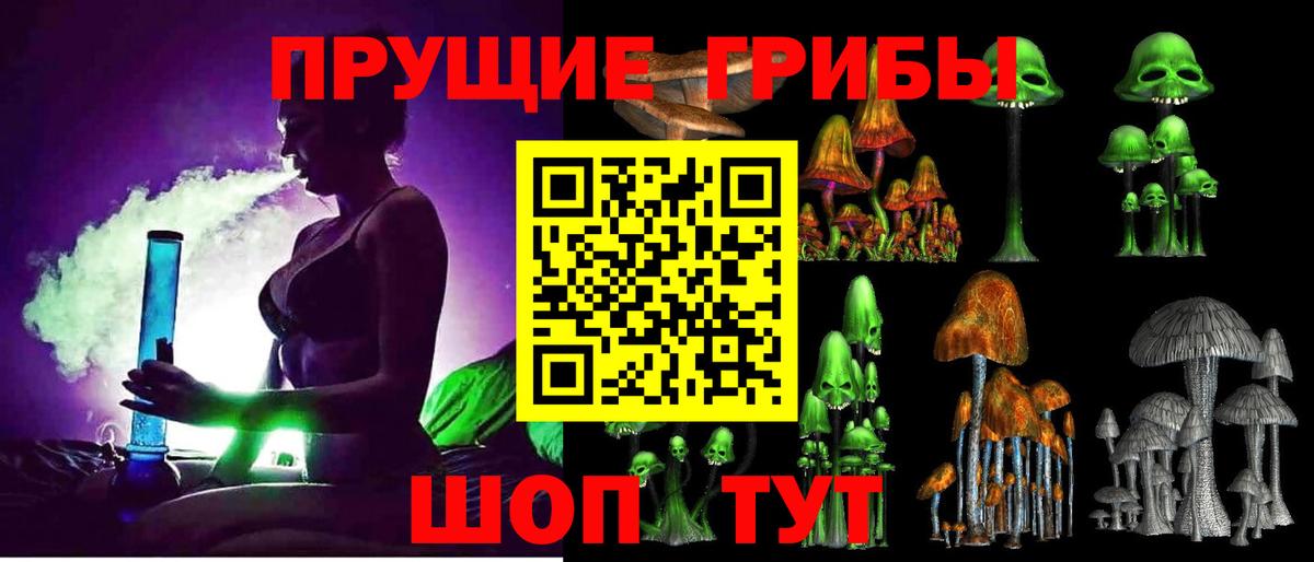 Псилоцибиновые грибы Psilocybine cubensis Химки